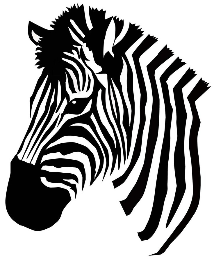 Download Cute Zebra Backgrounds - Cliparts.co