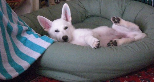 Aug. 16 sleepy Happy-2