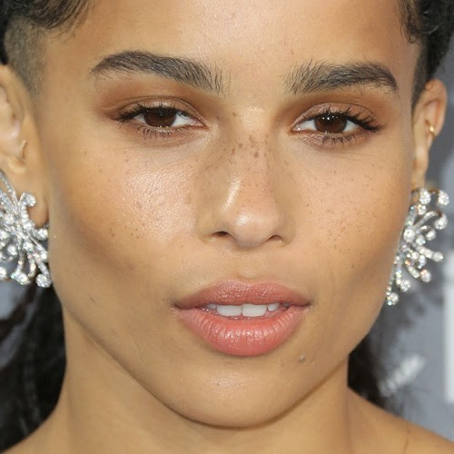 Zo Kravitz Makeup Brown Eyeshadow Clear Lip Gloss Zo Kravitz Makeup Brown Eyeshadow Clear Lip Gloss
