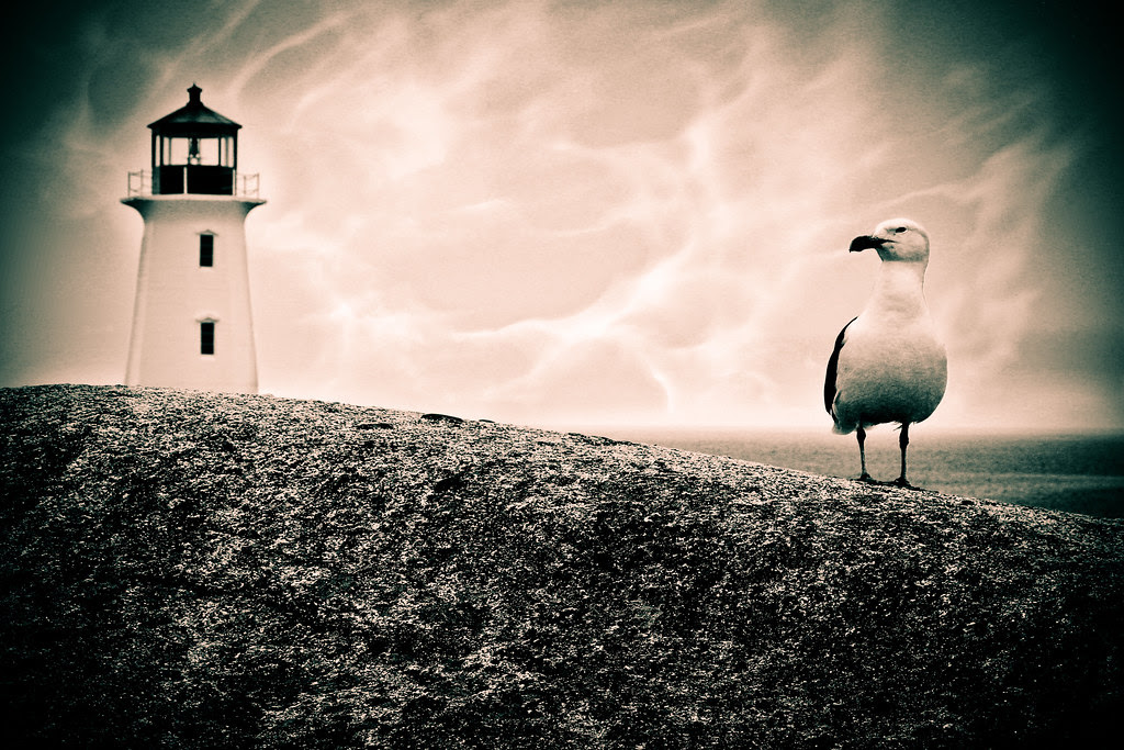 Seagull and lighthouse moody blue.jpg