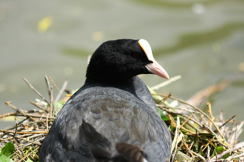 Kopyası IMG_7805