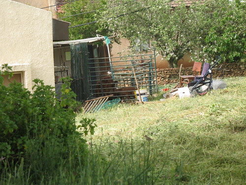 the neighbor resting