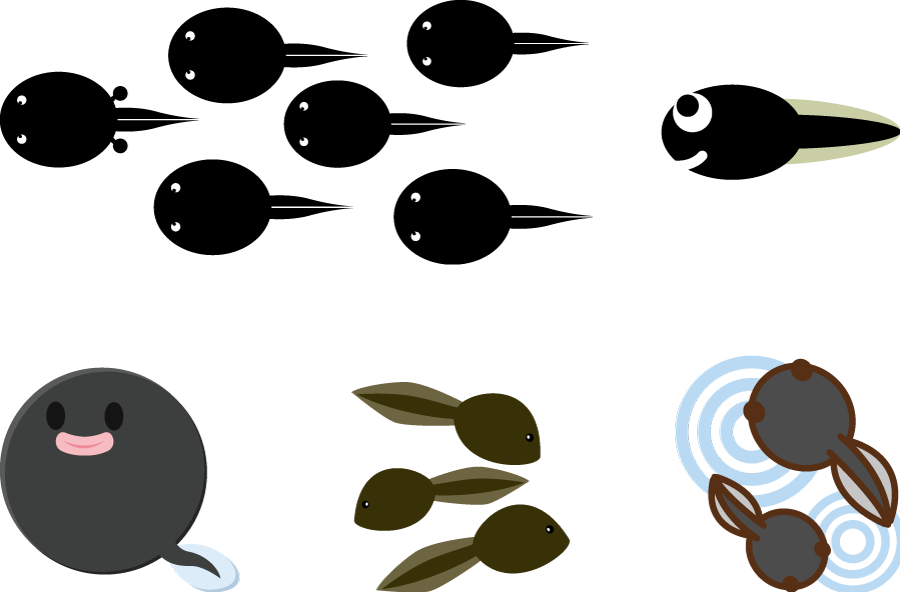 画像をダウンロード おたまじゃくし イラスト イラスト画像検索エンジン