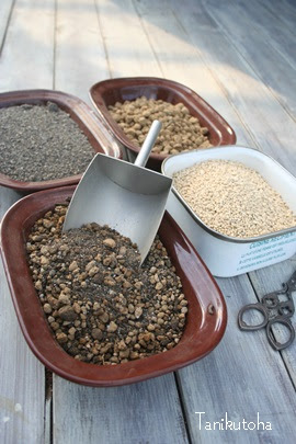 多肉植物のオリジナルブレンド培養土の販売 多肉植物の用土 サボテンの土販売 多肉の土通販 多肉の培養土通販 たにくの問屋さん 多肉永遠 たにくとは Cuctus And Succulents Onlineshop From Japan Tanikutoha