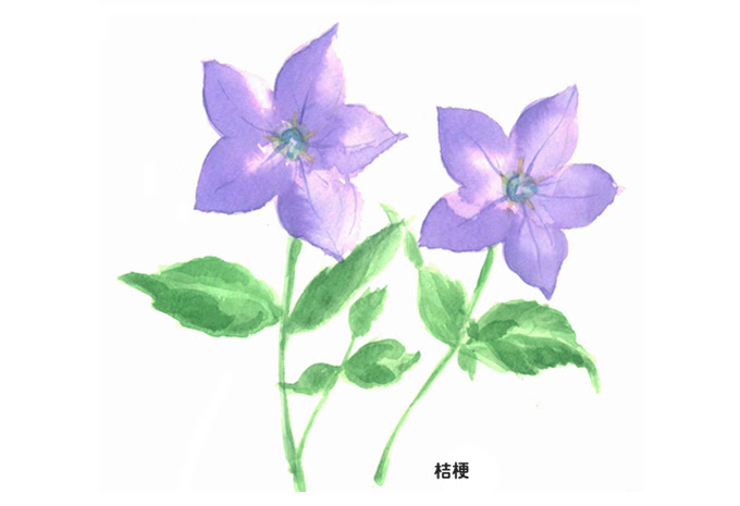花の水彩画廊 高塚由子