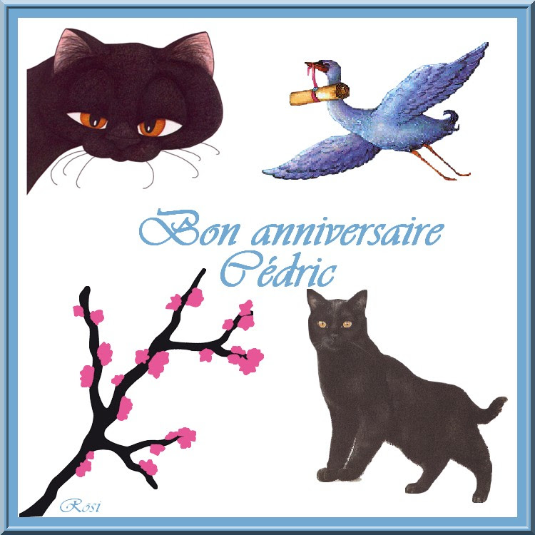 Bon Anniversaire Cedric