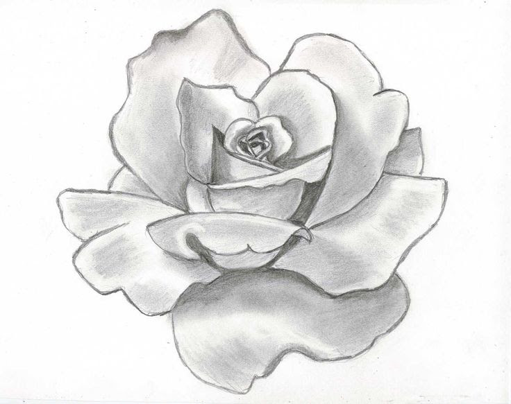 Free Drawing Of Flowers Download Free Clip Art Free Clip
