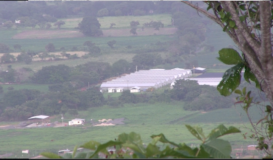 Casas de Cultivo abandonadas en Sabana Alta, estado Lara vista desde la montaña