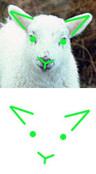 Face, Analyzed
