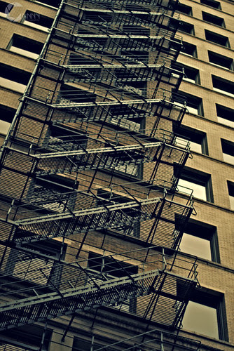 CCWalk_DEC_3