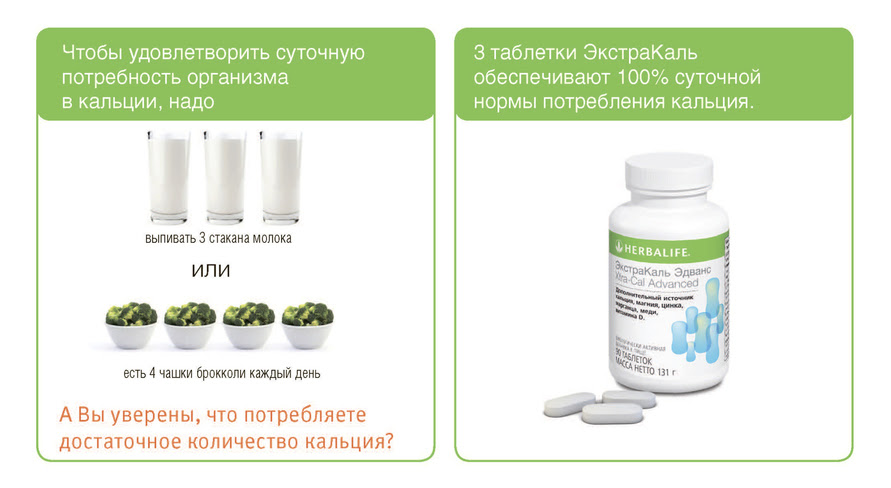 Корм Хиллс для собак: отзывы, обзор состава и мнение ветеринаров