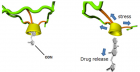 Controlled release of drug Controlled release of drug by hand pressure (