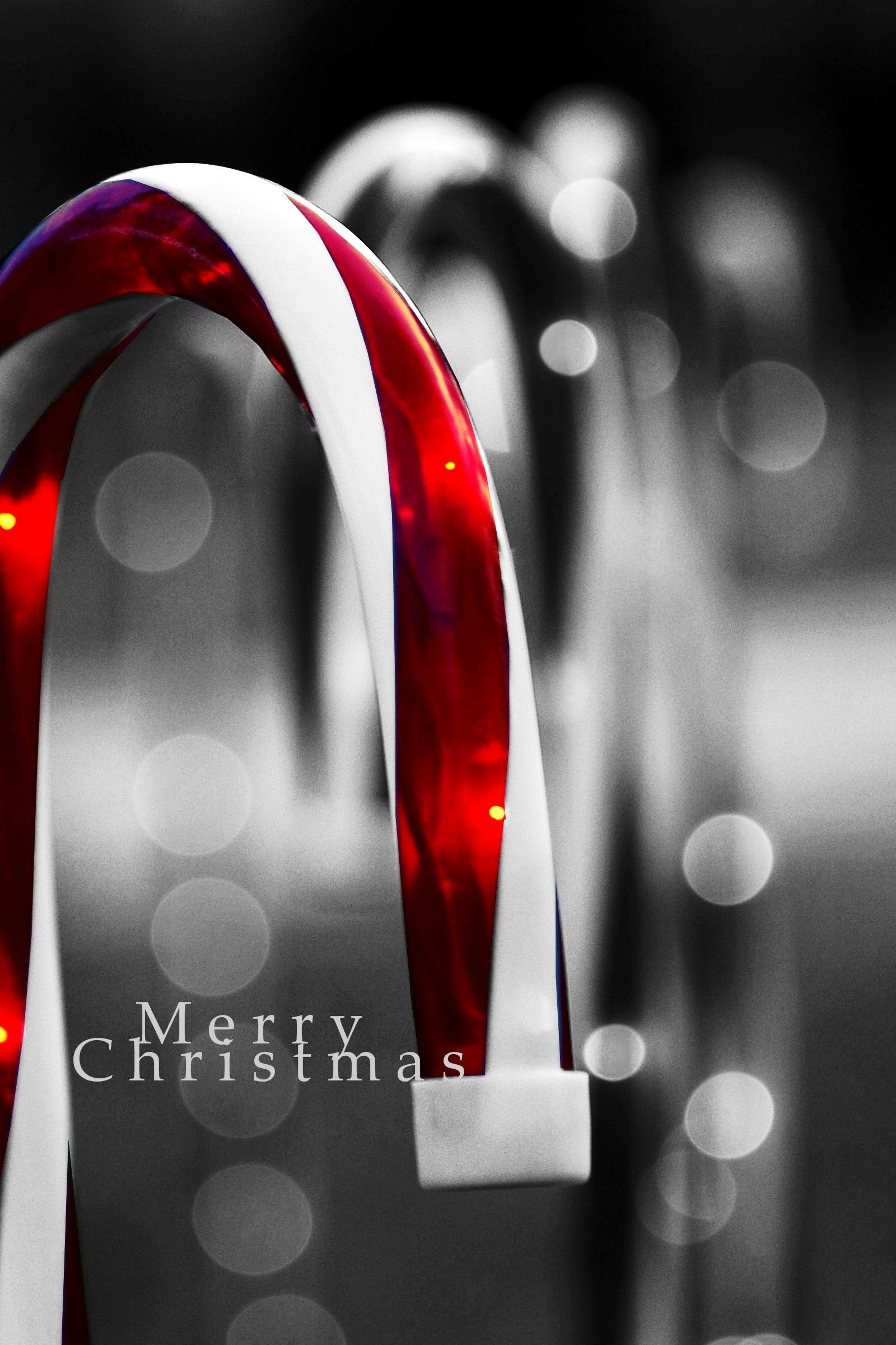 Merry Christmas - Ph