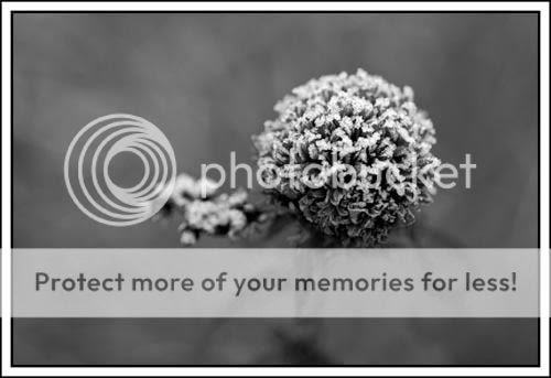Scott Bulger Photography