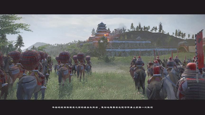 幕府将军武田 西瓜视频搜索
