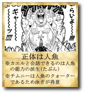 Grand Navigation2 Logpiece ワンピースブログ シャボンディ諸島より配信中