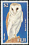 Western Barn Owl Tyto alba