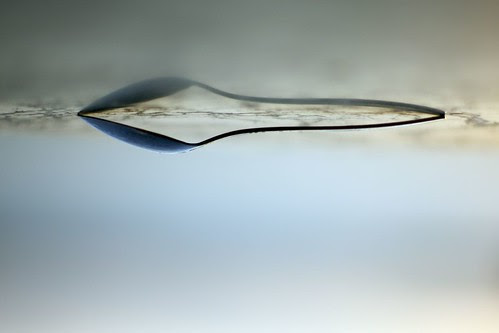 for the world is hollow and i have touched the sky