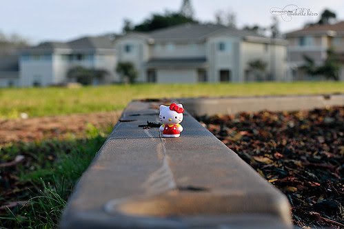 Hello Kitty - 55/365 Photo