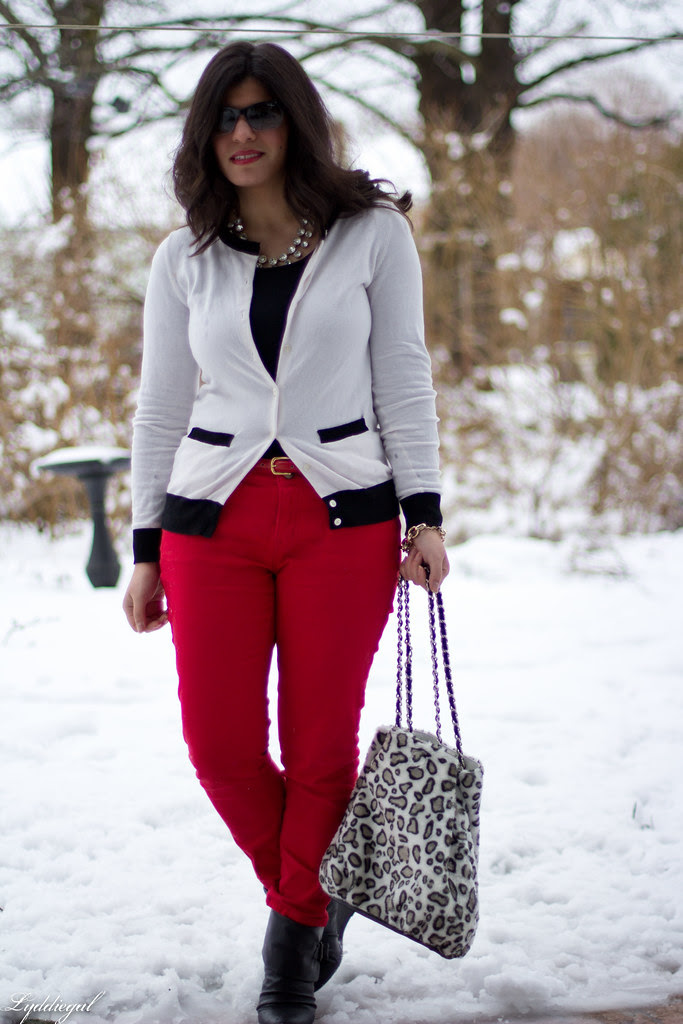 snow leopard-3.jpg