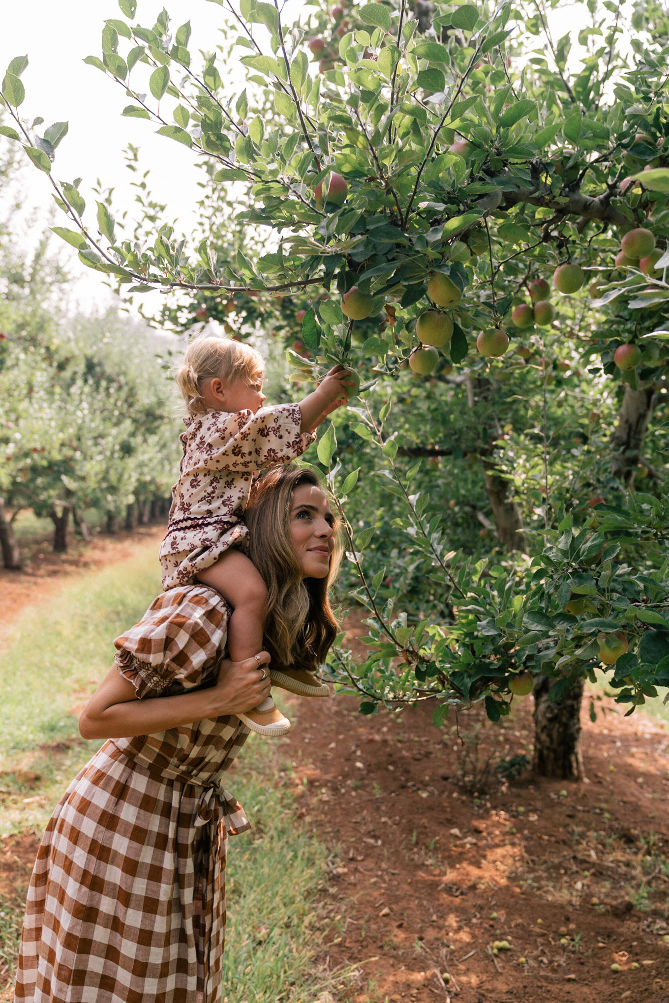 fall brown white gingham dress