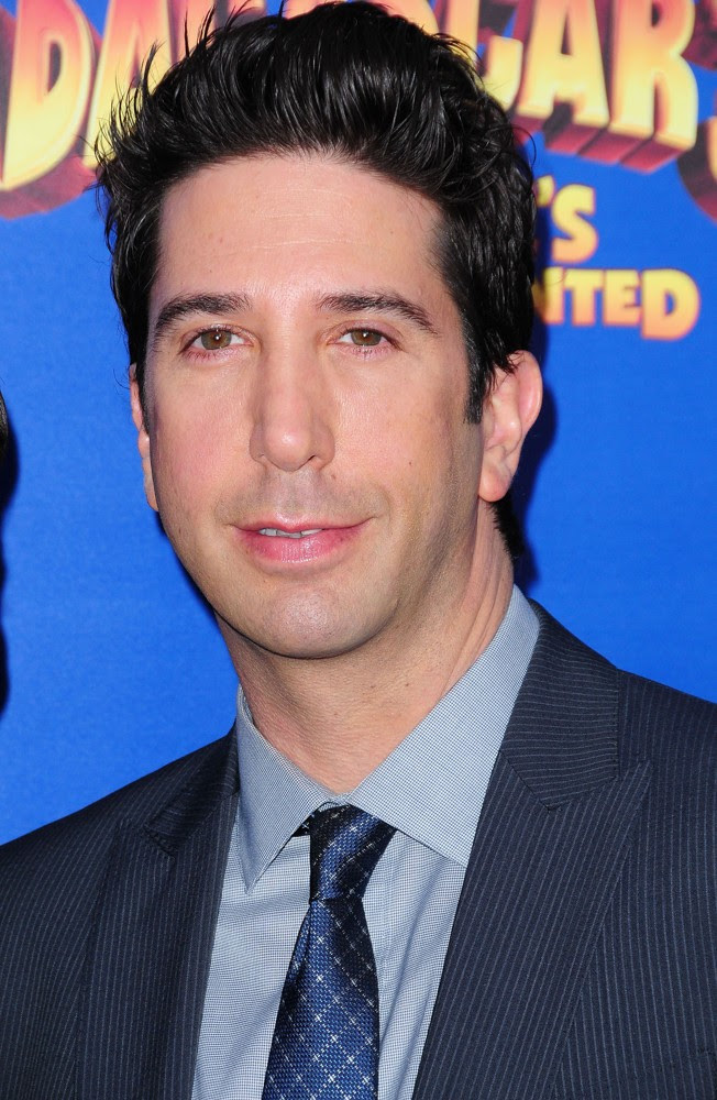 David Schwimmer Picture 22 - New York Premiere of ...
