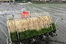 入冬後雨水不足 南彰地區春耕將先分區大輪灌