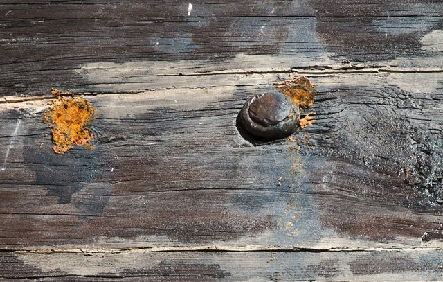 Rusty Nail on Wooden Surface [enlarge]