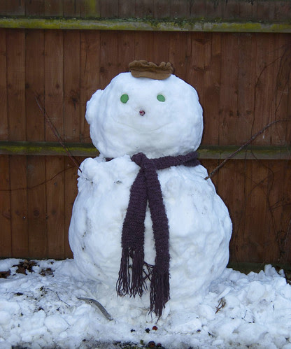 February Snow 9