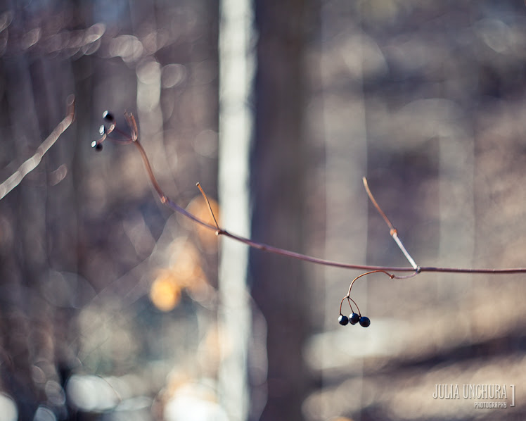 20110319-IMG_2013