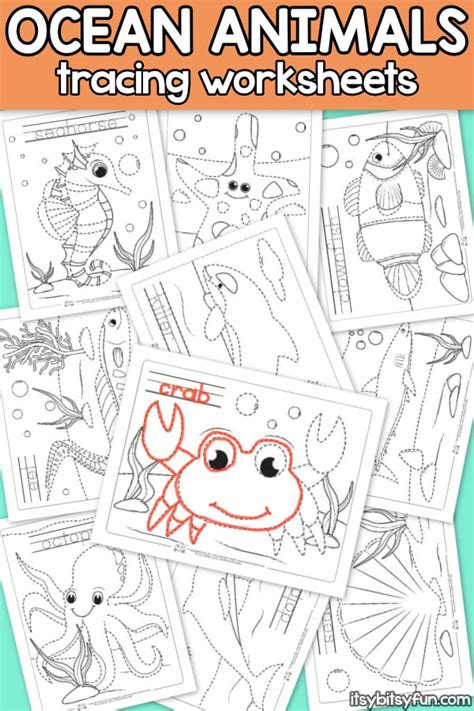 Everyone loves ocean animals so why not print off a few and let them color and be creative? ocean animals tracing worksheets itsybitsyfuncom in 2020 ocean