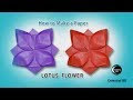 How to make origami lotus flower 