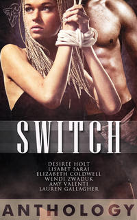 Switch Cover