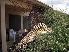 Storm Damage July 20