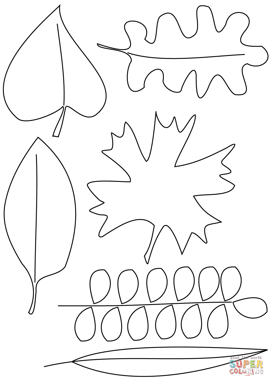 Autumn Leaves coloring page | Free Printable Coloring Pages