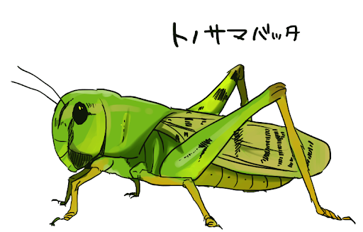 イメージ