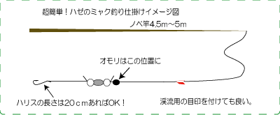 ハゼのミャク釣り Fishing Infomation
