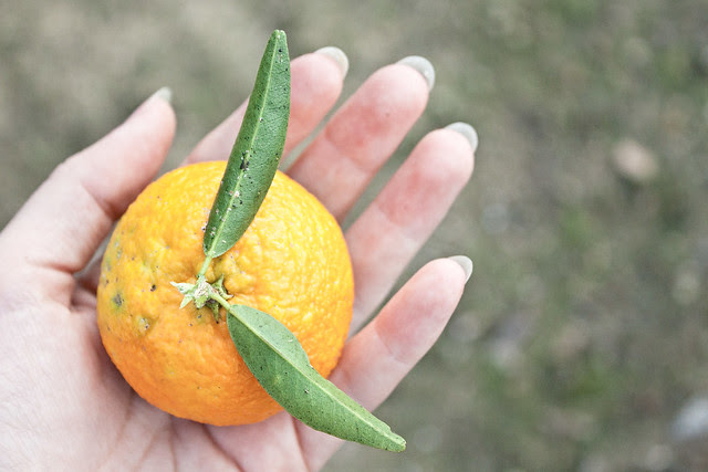 Cádiz Province-373-Edit.jpg