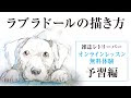 ++ 50 ++ ラブラドール イラスト 619027-ラブラドール イラスト 書き方