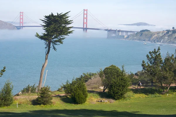the golden gate bridge fog. Stock Photo: The Golden Gate