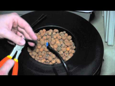 DIY Hydroponics Top Drip Bucket System - YouTube
