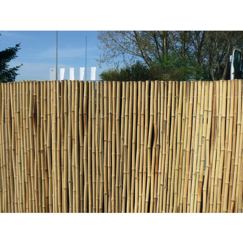 Comment installer une canisse en bambou on vous explique Comment installer une canisse en bambou on vous explique