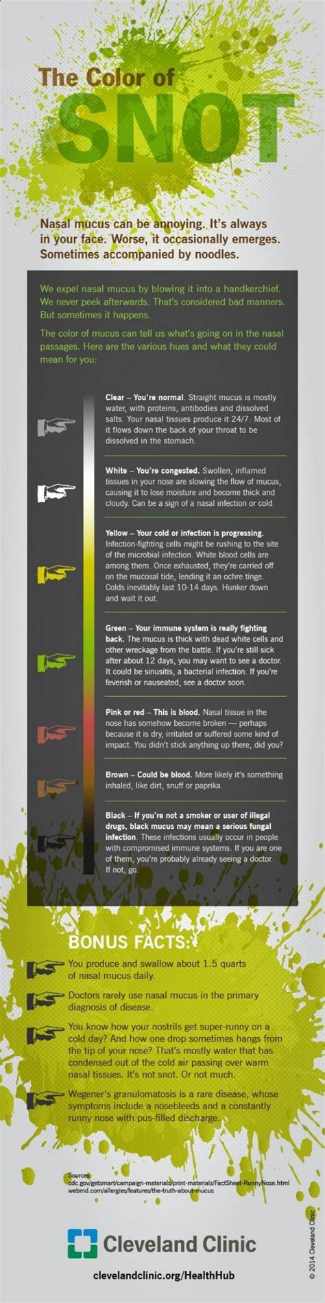  the color of snot infographic sciencedump so necessary yall