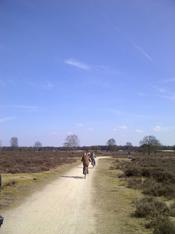 Fietsers op de Zuiderheide