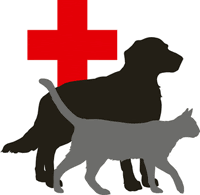 犬 猫 その他ペットの健康管理 青山動物病院 院長あいさつ
