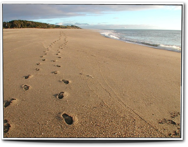 Spuren im Sand | humnda7134