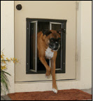 Plexidor Dog Doors - Canada