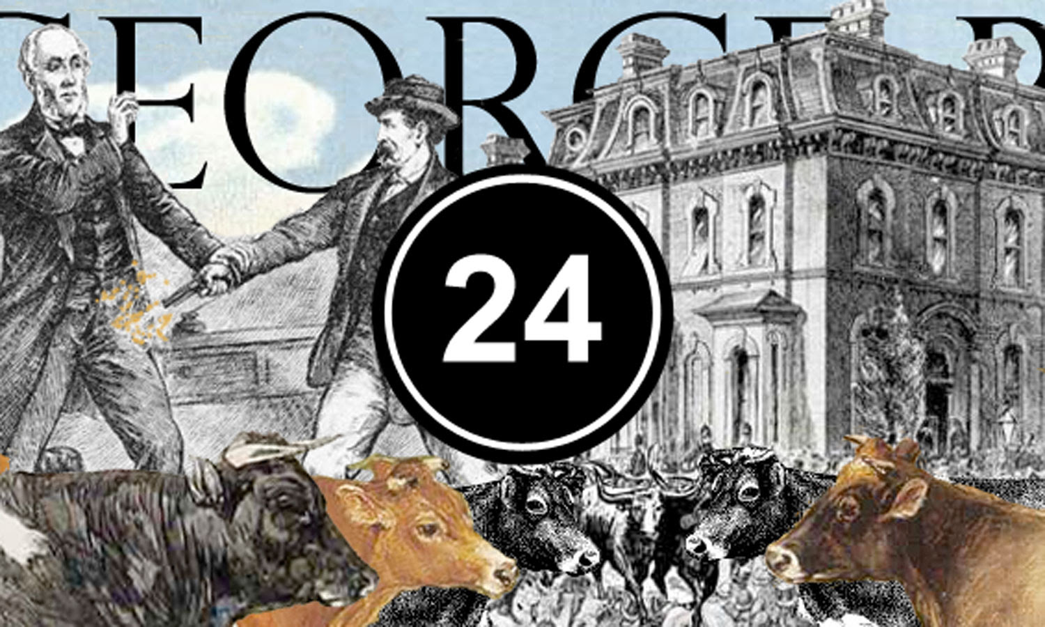 Dream 24