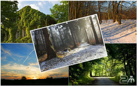 vista wallpapers for xp. list of Vista wallpapers. vista wallpapers for xp. best vista wallpaper.