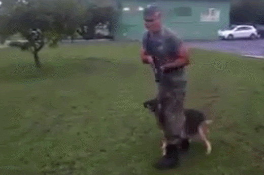 Combat Training Gifs